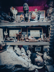 Viktor-Wynd-Museum-IMG_20240526_122328