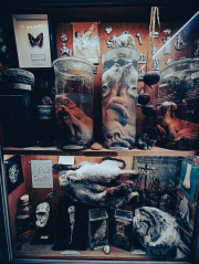 Viktor-Wynd-Museum-IMG_20240526_122346