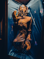 Viktor-Wynd-Museum-IMG_20240526_122625