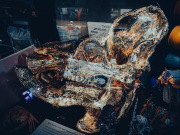 Viktor-Wynd-Museum-IMG_20240526_123911