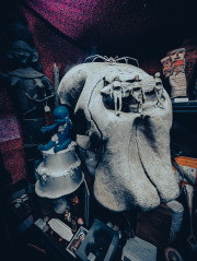 Viktor-Wynd-Museum-IMG_20240526_124157