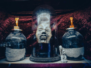 Viktor-Wynd-Museum-IMG_20240526_124533