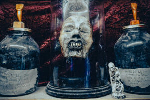London – Victor Wynd Museum of Curiosities, Fine Art & Natural History